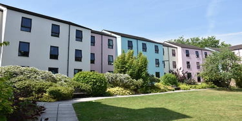 A lawn surrounded by a paved path, shrubs, and a row of modern three-storey buildings painted different colours.
